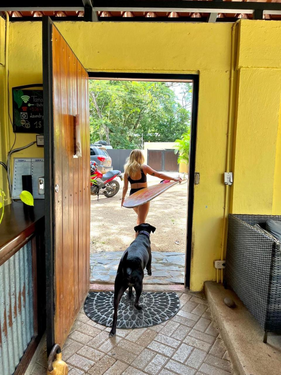 Tamarindo Backpackers Hostel ภายนอก รูปภาพ
