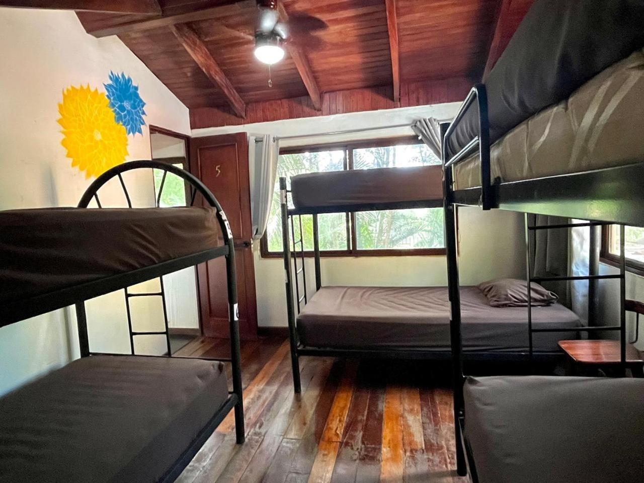 Tamarindo Backpackers Hostel ภายนอก รูปภาพ